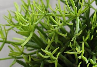 爱情哲学名言(优选79句)