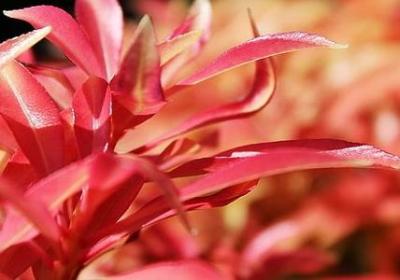 热爱集体的名言(通用60句)