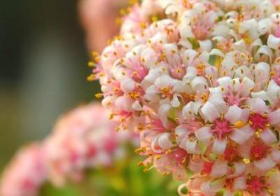 爱的名人名言(合集70句)