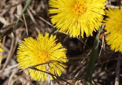 教师节的词语(热门51句)
