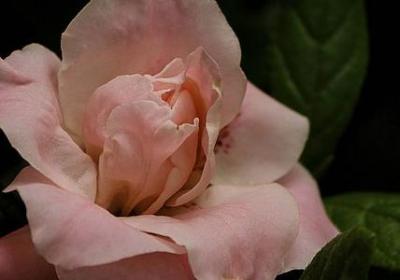 数数的四字词语(共60句) 数数的四字词语(共60句)