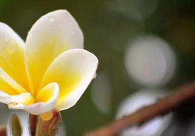 有关朋友的词语(必备41句)