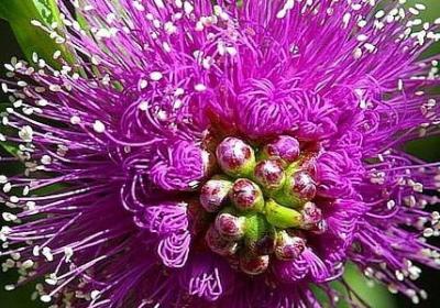 朦胧的解释词语(共70句)