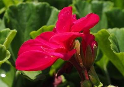 格外相近的词语(汇总70句)