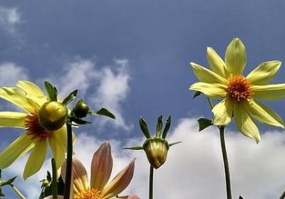 来什么来什么的词语(通用45句)