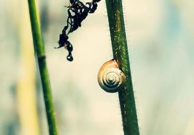 晴什么的组词语(必备15句)