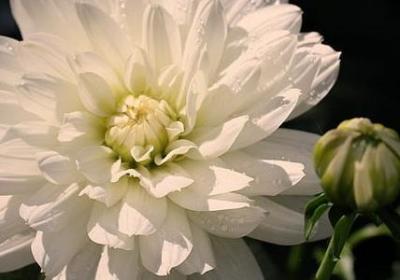 有关太阳的四字词语(实用12句)