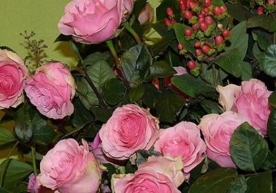 有趣的什么填词语(热门60句)