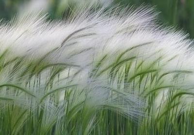 水的词语四字词语(50句)