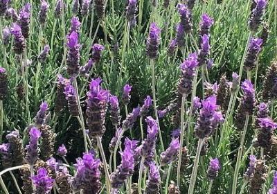 浩能组什么词语(共10句)