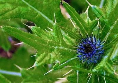 注组词语有哪些(共80句)