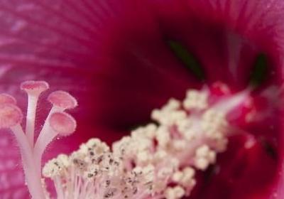 泣怎么组词语(汇总78句)