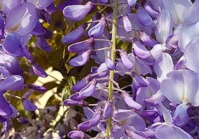 热乎乎照样子写词语(60句)