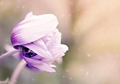 浪换偏旁组词语(推荐60句)