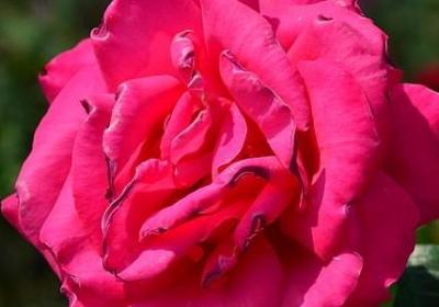 深入浅出类似的词语(推荐98句)