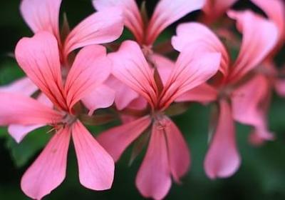 相信并佩服的词语(热门61句)