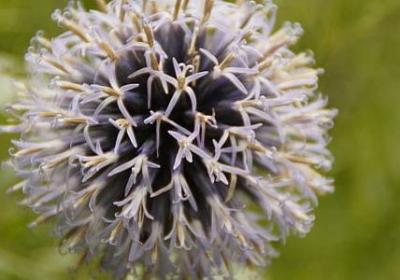 碧组词有哪些词语(共20句)