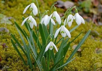 瞻能组什么词语(优选18句)