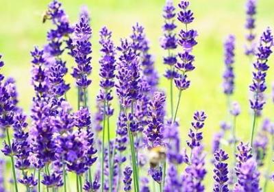 穷词语有哪些(通用41句)