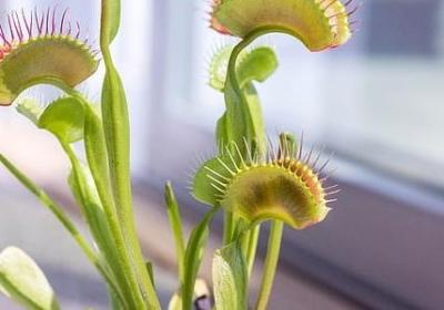 神可以组什么词语(通用51句)