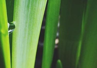 细心的听取是什么词语(共48句)