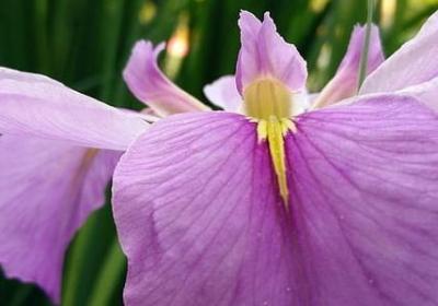 类似南辕北辙的词语(共40句)