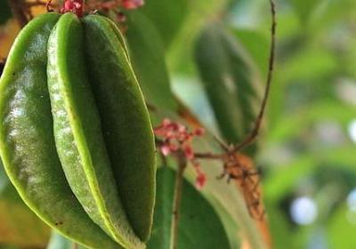 船换偏旁组词语(推荐70句)