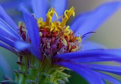 绣加偏旁组词语(优选40句)