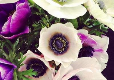 络多音字组词语(实用60句)