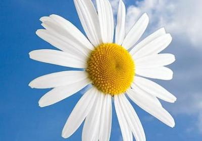 纲组词语有哪些(必备81句)