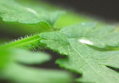 经可以组什么词语(51句) 经可以组什么词语(51句)