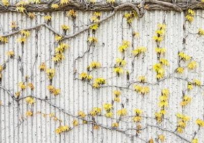 脾组词有哪些词语(共17句)