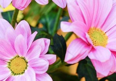 表示表情的词语有哪些(推荐50句) 表示表情的词语有哪些(推荐50句)