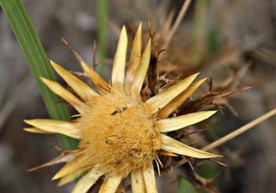 表示说的词语二字(汇总40句)