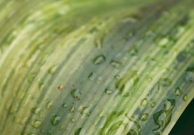 览的词语有哪些(推荐81句)