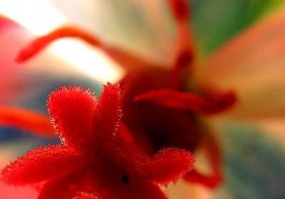 词语和成语的区别(汇总6句)