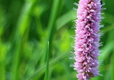 赞美泉城的词语(实用70句)