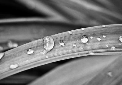 词语对对碰古(必备40句)