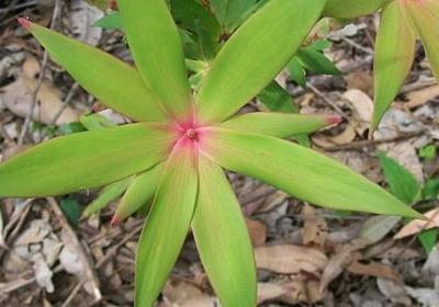 赞美小孩的词语(必备11句)