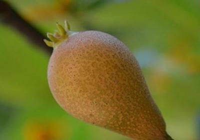 赛龙舟的词语(实用15句)