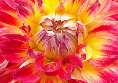 赞赏美女的词语(共71句)