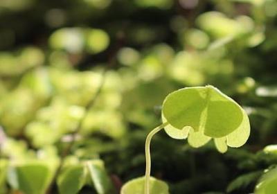 有关教养的名言(推荐60句) 有关教养的名言(推荐60句)