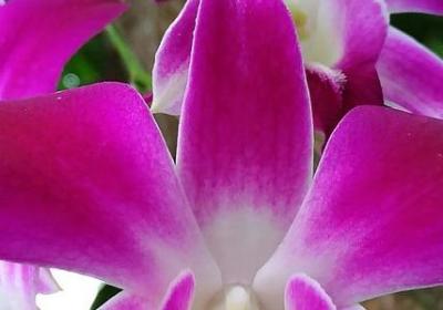 有关读书的名言警句(50句) 有关读书的名言警句(50句)