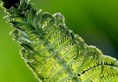 踏可以组什么词语(汇总71句)