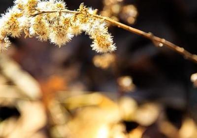 难过的词语有哪些(推荐70句)