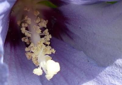 爱国人士的名言(通用20句) 爱国人士的名言(通用20句)