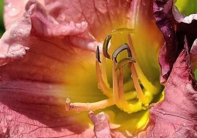 爱的教育名人名言(必备20句) 爱的教育名人名言(必备20句)