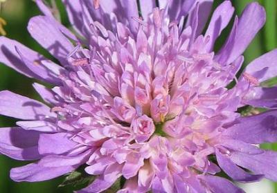 部编语文六年级下册词语表(优选50句)