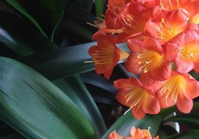 柏拉图教育名言(优选20句)