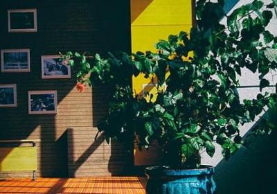 法律的名言名句(合集60句)